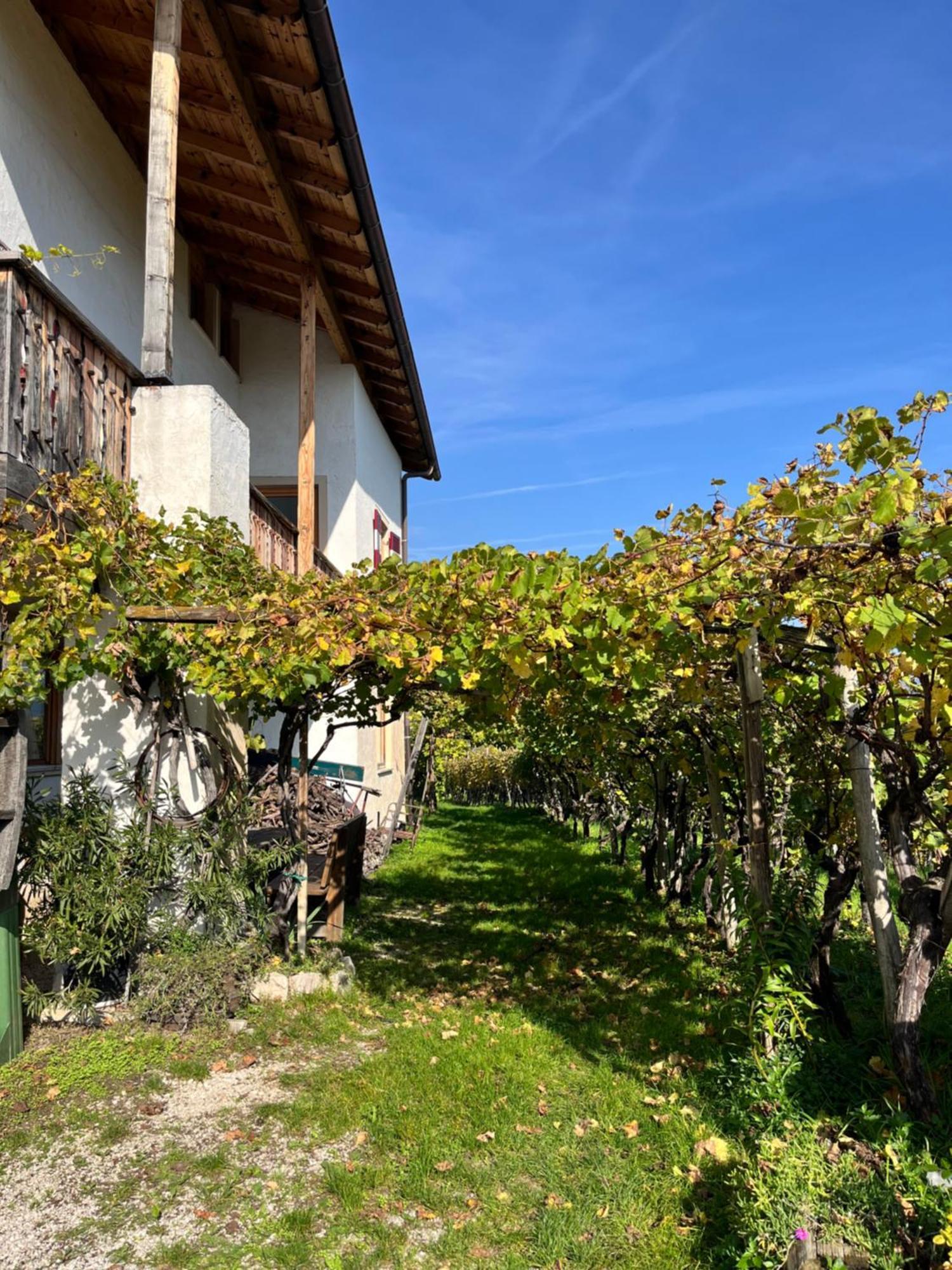 Voldersberghof Apartment Cortaccia Exterior photo